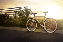 Load image into Gallery viewer, Zulu
